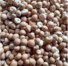 Arecanut Price Surge in the State